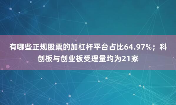 有哪些正规股票的加杠杆平台占比64.97%；科创板与创业板受理量均为21家