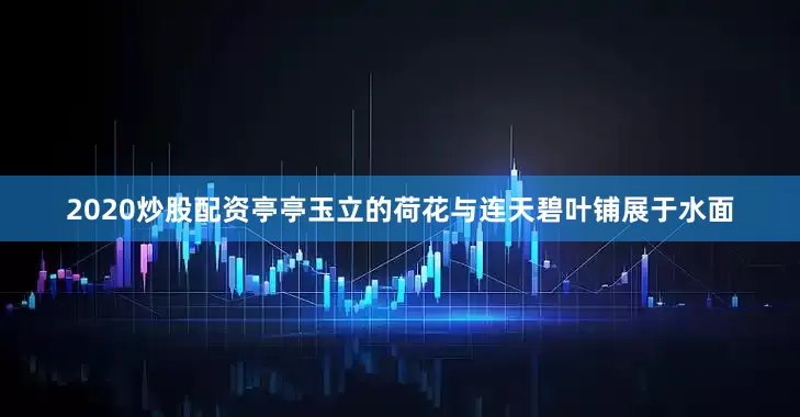 2020炒股配资亭亭玉立的荷花与连天碧叶铺展于水面