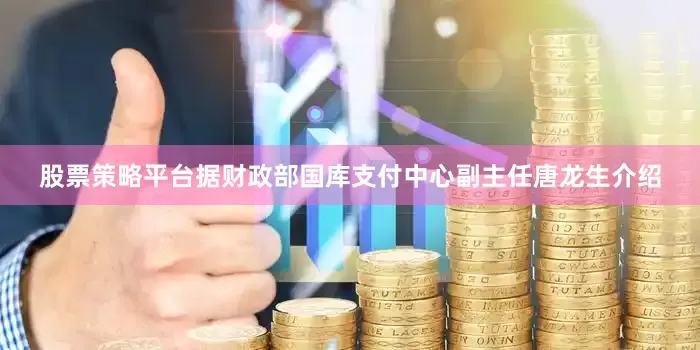 股票策略平台　　据财政部国库支付中心副主任唐龙生介绍