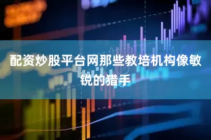配资炒股平台网那些教培机构像敏锐的猎手